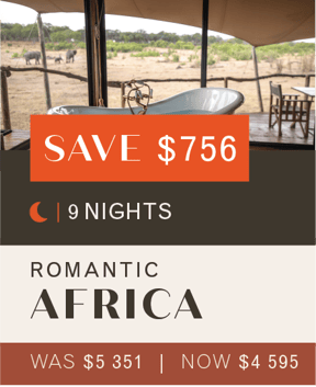 004 Romantic Africa_Dollar-08-1